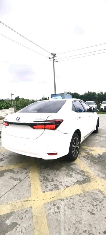 Corolla photo 5
