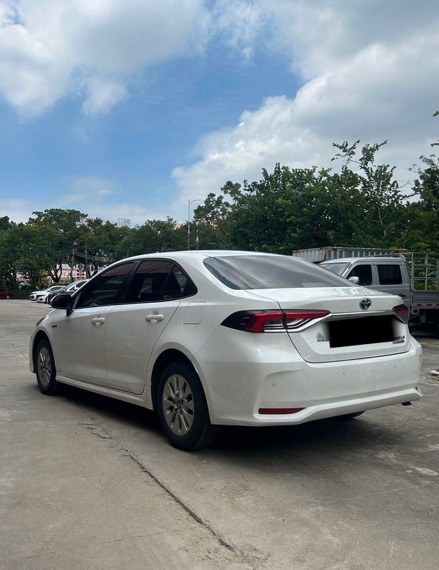 Corolla photo 5