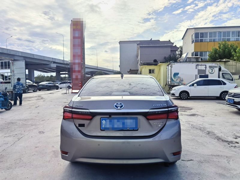 Corolla photo 5