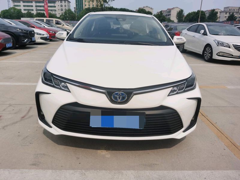 Corolla photo 3