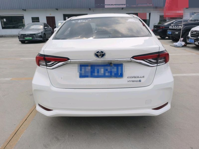 Corolla photo 4