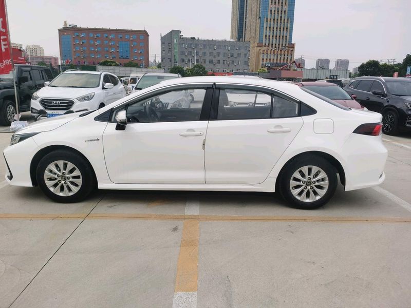 Corolla photo 5