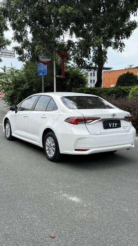 Corolla photo 4