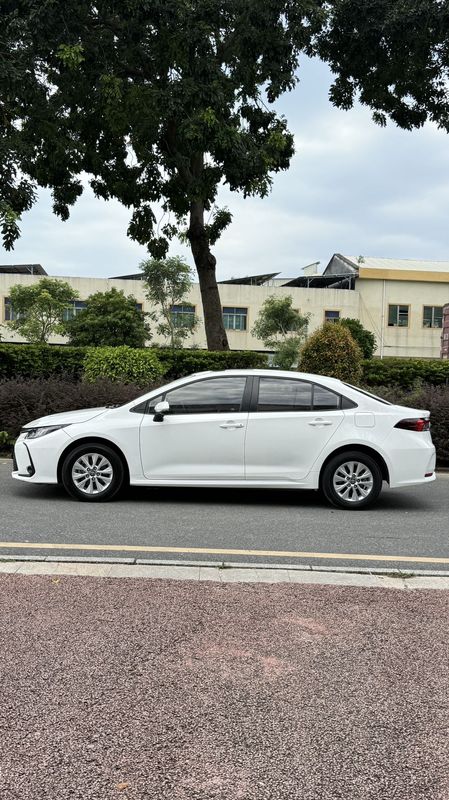 Corolla photo 5