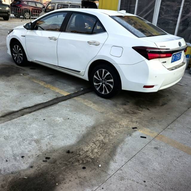 Corolla photo 5