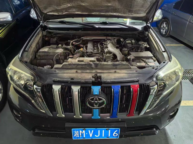 Land Cruiser Prado photo 5