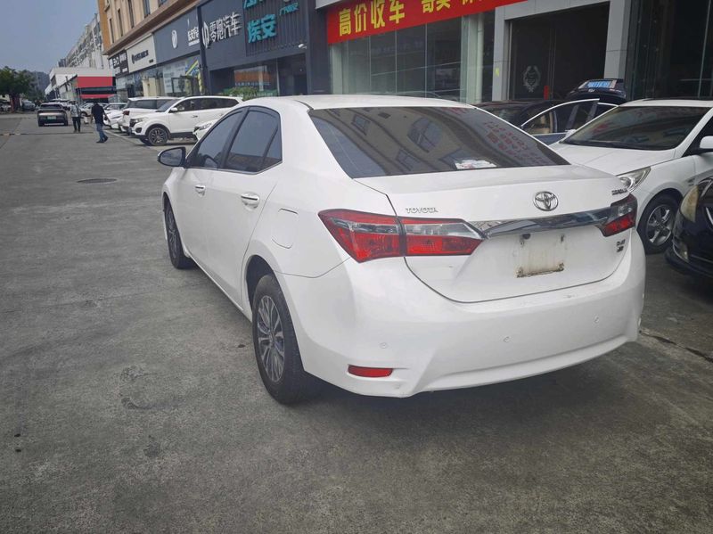 Corolla photo 5