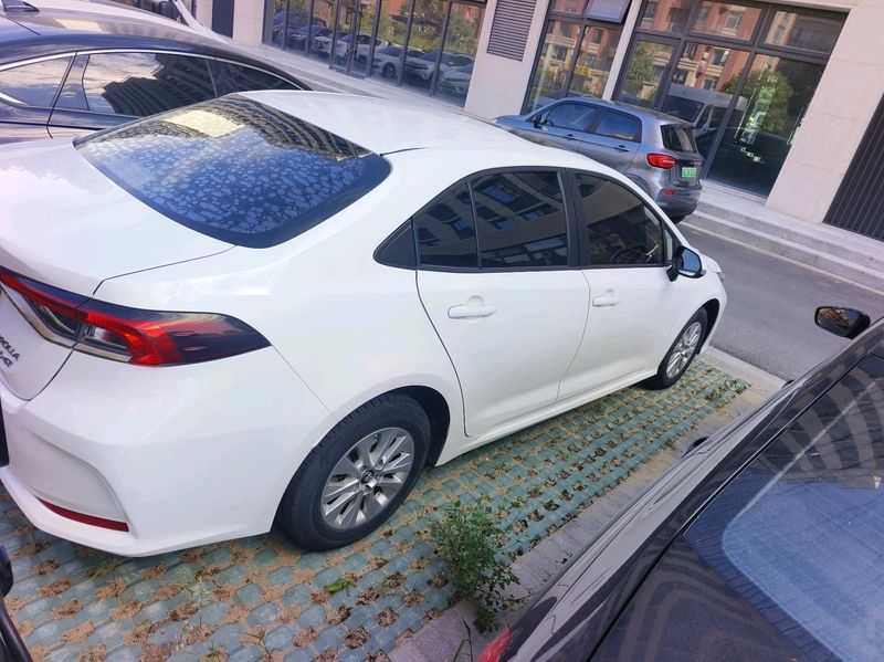 Corolla photo 2
