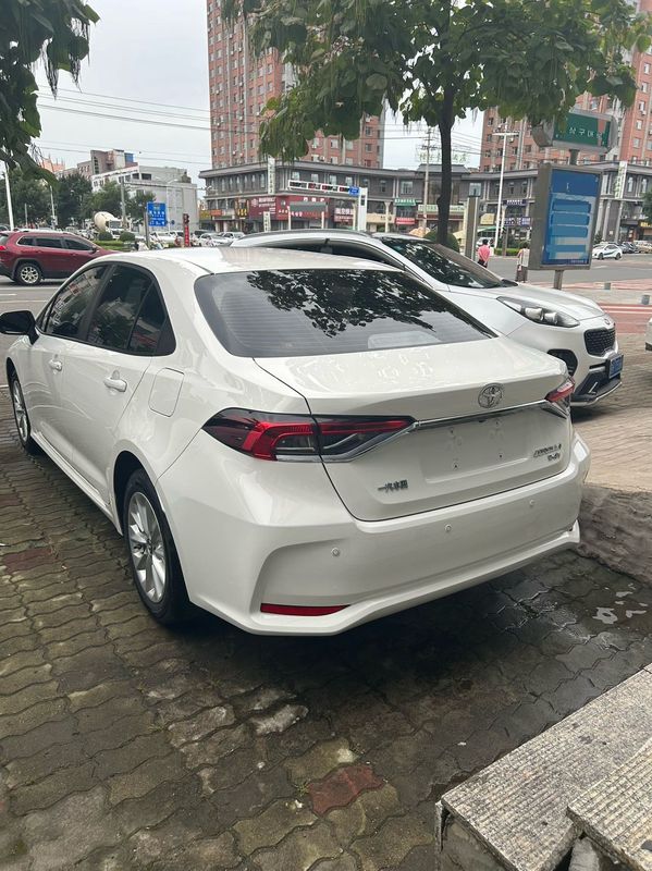 Corolla photo 3