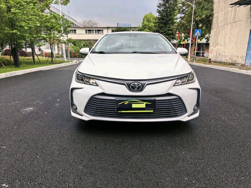 Corolla photo 3