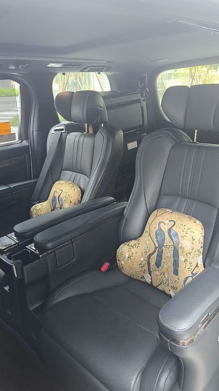 Alphard photo 4
