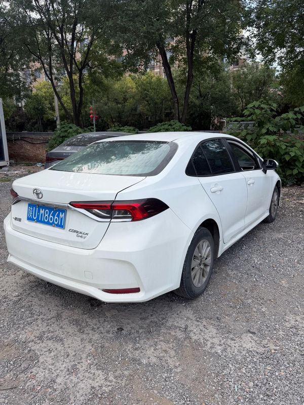 Corolla photo 3