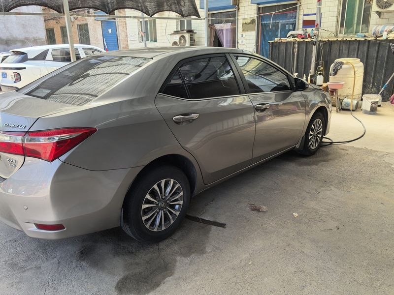 Corolla photo 4
