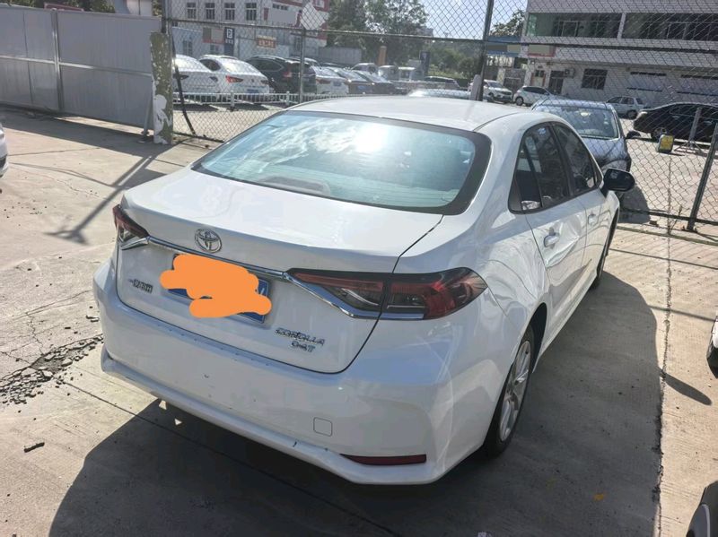 Corolla photo 3
