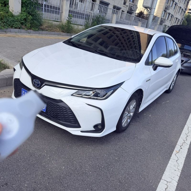 Corolla