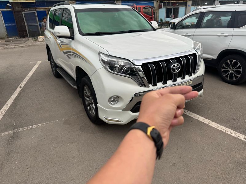 Land Cruiser Prado photo 3