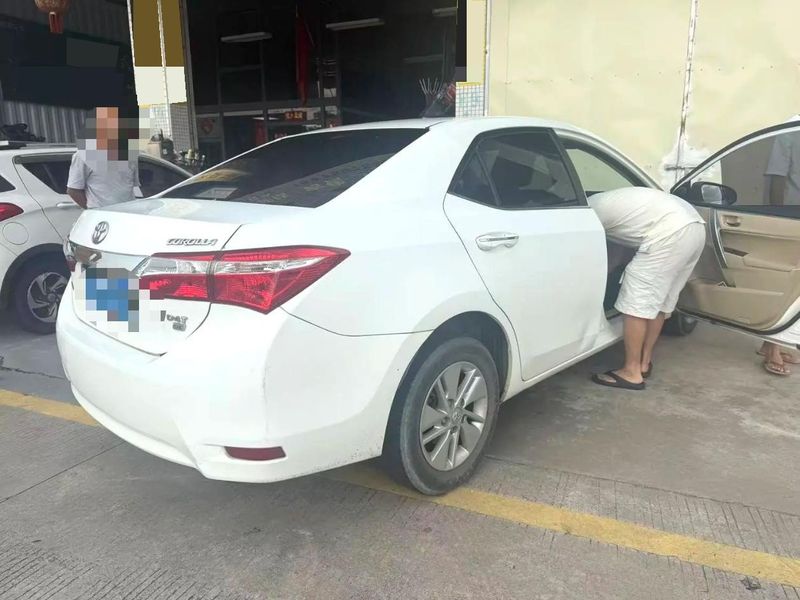 Corolla photo 5