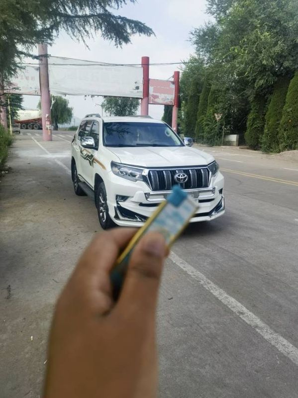 Land Cruiser Prado photo 3