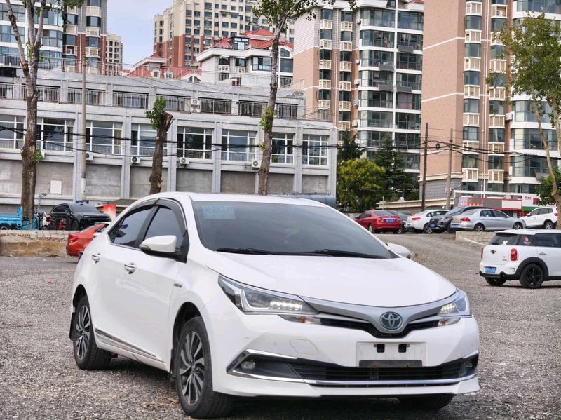 Corolla photo 3