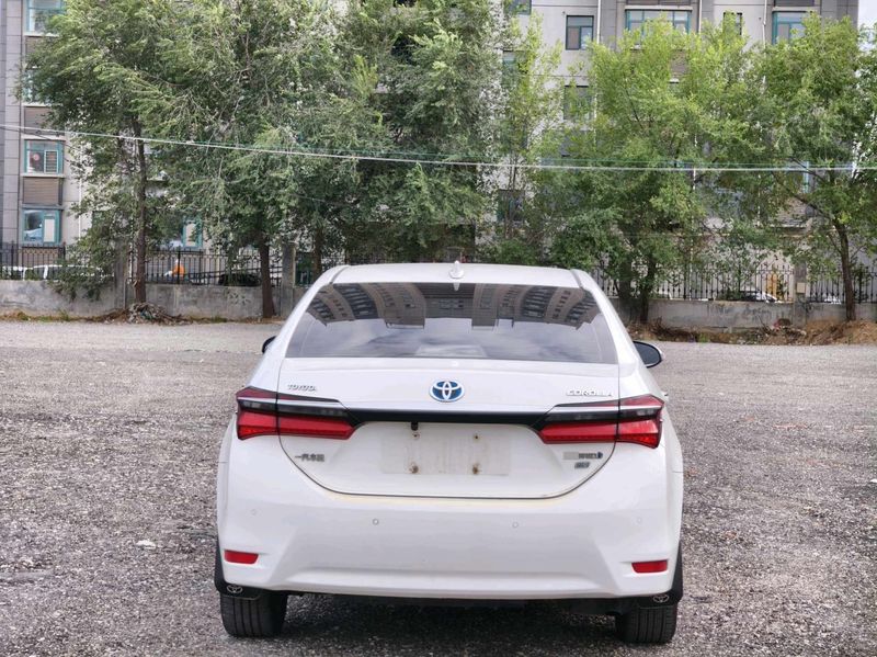 Corolla photo 5