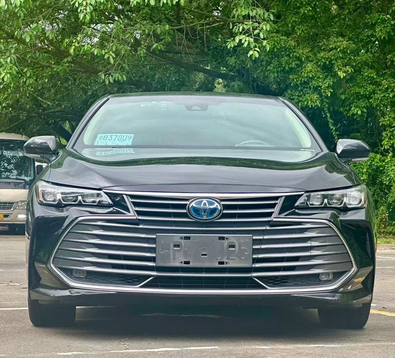 Avalon photo 2