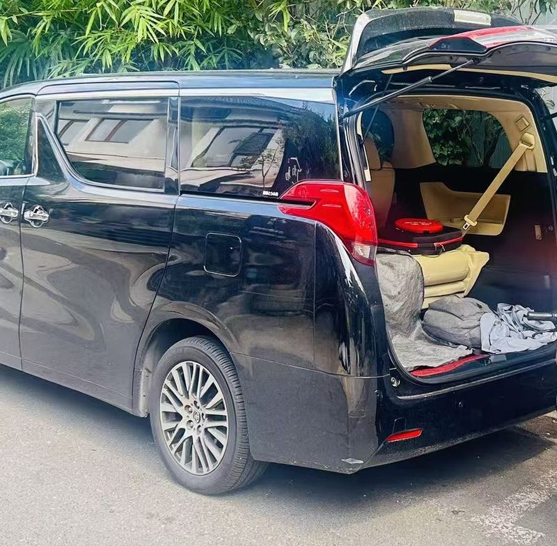 Alphard photo 4