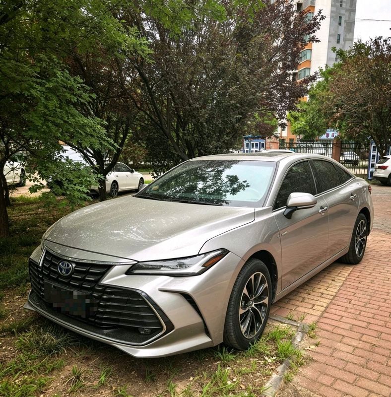 Avalon