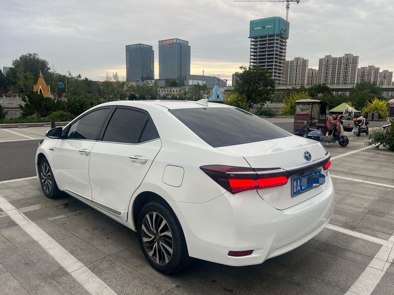 Corolla photo 4