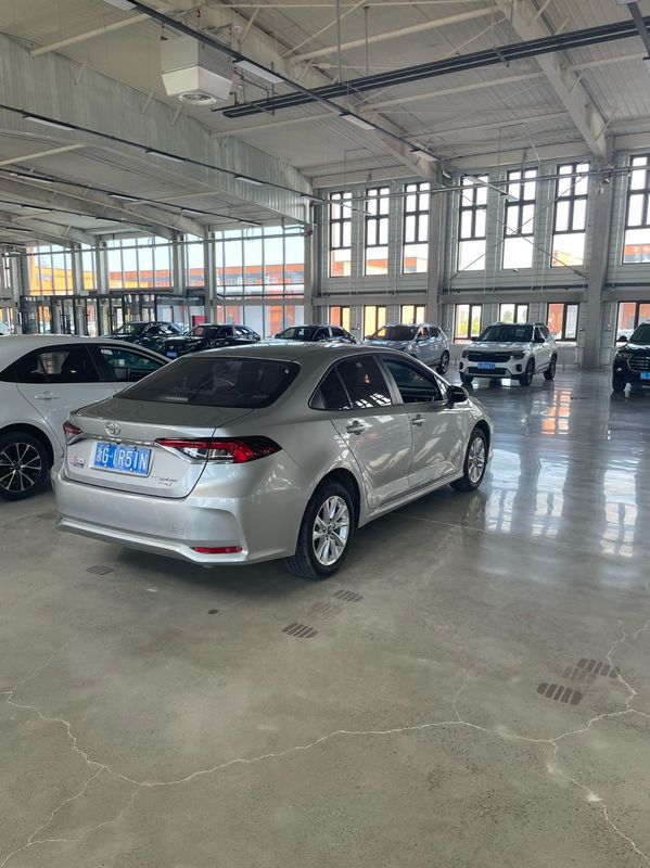 Corolla photo 5