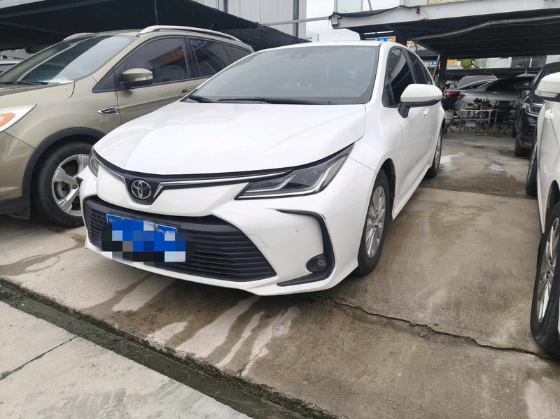 Corolla