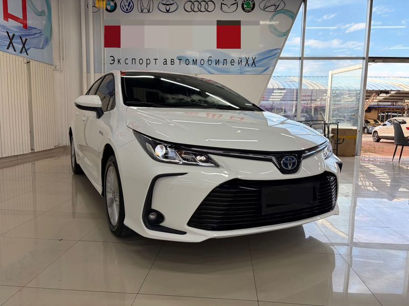 Corolla photo 3