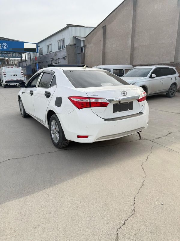 Corolla photo 3
