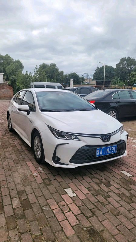 Corolla photo 3
