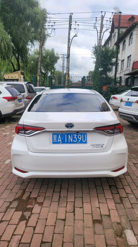 Corolla photo 5