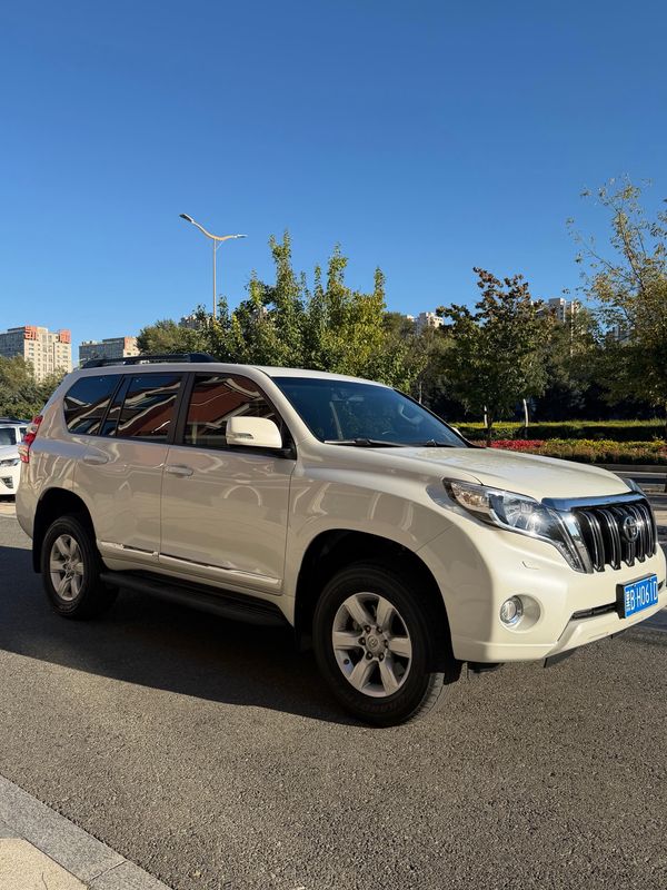 Land Cruiser Prado photo 3