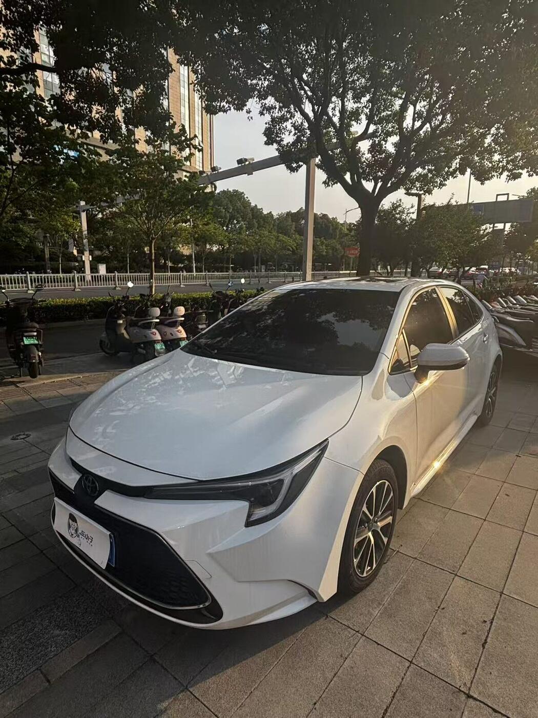 Toyota 2022 Levin 1.2T CVT 185T Luxury